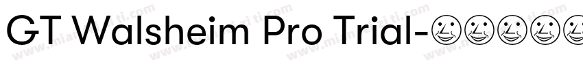 GT Walsheim Pro Trial字体转换